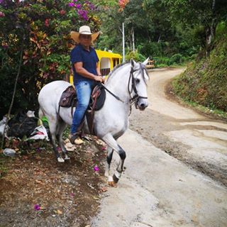 Profile Picture of Jorge Correa (@Jorge-Correa) on Facebook