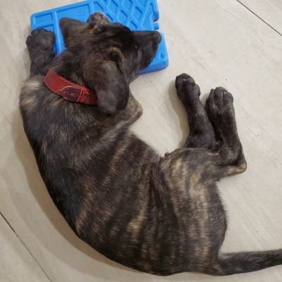 Profile Picture of Kim Tsai (@Kimtsai6) on Twitter