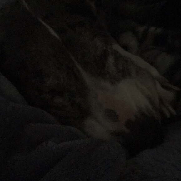 Profile Picture of Gretta Christa (@jirayr) on Poshmark