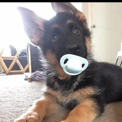 Profile Picture of Tony Connor (@TonyConnorTC3) on Twitter