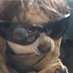 Profile Picture of Shaylene🌹Scott (@shaylenerose) on Instagram