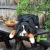 Profile Picture of Joann Wade (@joann.wade.393) on Facebook
