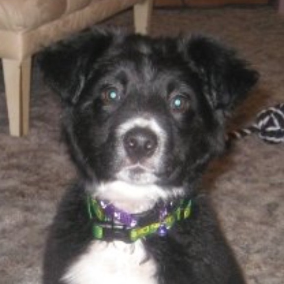 Josh Grenner - Poshmark Profile Picture of Josh Grenner (@jbgrenn) on Poshmark