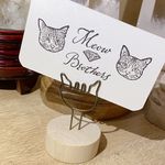Profile Picture of 🐈貓兄弟水晶🔮 (@meow_bros_crystal) on Instagram