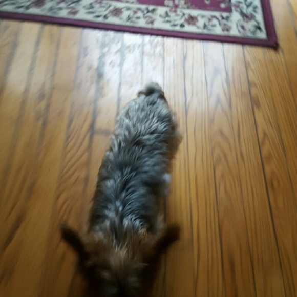 Profile Picture of Ben Vruwink (@benisjamin2) on Poshmark