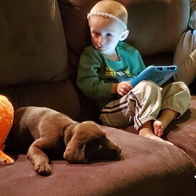 Joe Schrock - Twitter Profile Picture of Joe Schrock (@TallRetiredChap) on Twitter