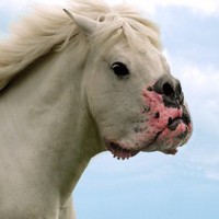 Profile Picture of Federico Miranda-camacho (@federico-miranda-camacho) on Quora