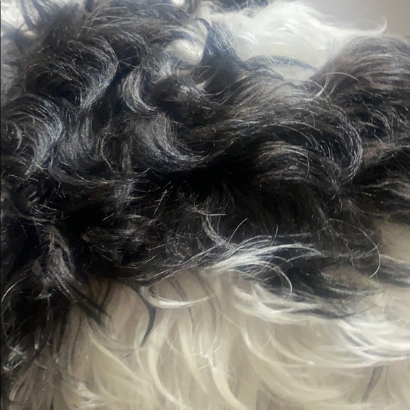 Profile Picture of Hugo Juarez (@hkarymjuarez) on Poshmark