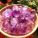 Profile Picture of democrystal (@democrystal) on Instagram