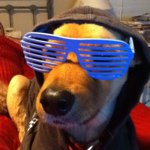 Profile Picture of Kyle Pellegrino (@kylepellegrino) on Instagram