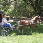 Leanne Byrne-Wilkie - Instagram Profile Picture of Leanne Byrne-Wilkie (@xnaniex) on Instagram