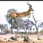 Profile Picture of Proff Lawrence (@Proff-Lawrence) on Facebook