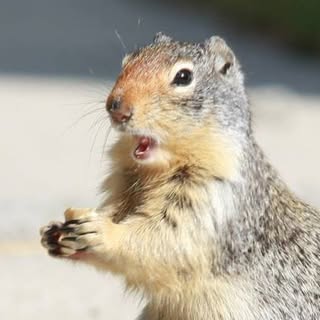 Profile Picture of Keith Conley (@keith_conley) on Instagram