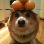 Profile Picture of Christopher Turciosrivera (@chrisxivturcios) on Instagram