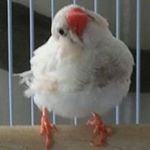 Profile Picture of John Riggio (@gv1200gl) on Instagram