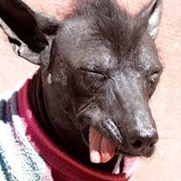 Profile Picture of Brian Ridenour (@brian-ridenour-6) on Quora