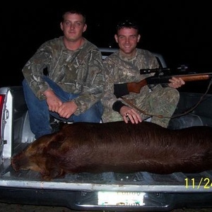 Profile Picture of Buddy Fowler (@dixie212) on Myspace