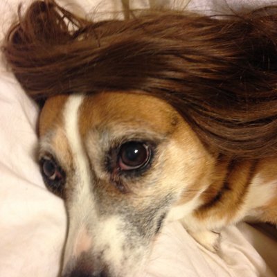 Profile Picture of Pat Howley (@PJH_sr) on Twitter