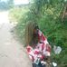 Profile Picture of Samira Yusuf (@samira.yusuf.3998) on Facebook