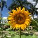 Profile Picture of Jody Carr-Albright (@albright5) on Pinterest
