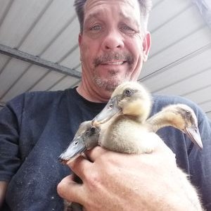 Profile Picture of Sean Grubbs (@GoatBeach) on Twitter