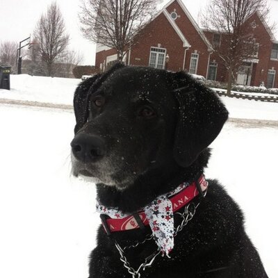 Profile Picture of Kevin Lemme (@kjlem) on Twitter