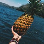 Profile Picture of Mark Moreland (@pickles4chumps11456) on Instagram