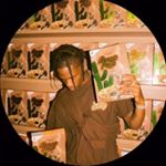 Profile Picture of Matthew Cantor (@matt.cantor) on Instagram