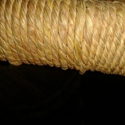 Profile Picture of çráìg D`sìLvá (@craigdsilva005) on Twitter