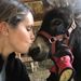 Profile Picture of Amanda Dobosh (@sam3811) on Pinterest