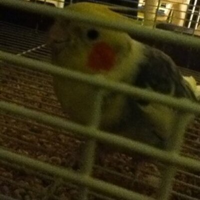 Profile Picture of Lisa (@LisaDurango24) on Twitter