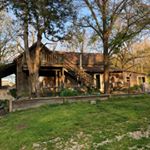 Profile Picture of Blue Heron Springs Farm (@beverly_wardlaw) on Instagram