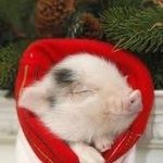 Tobey Johnson - Instagram Profile Picture of Tobey Johnson (@tobeyjohnson86) on Instagram