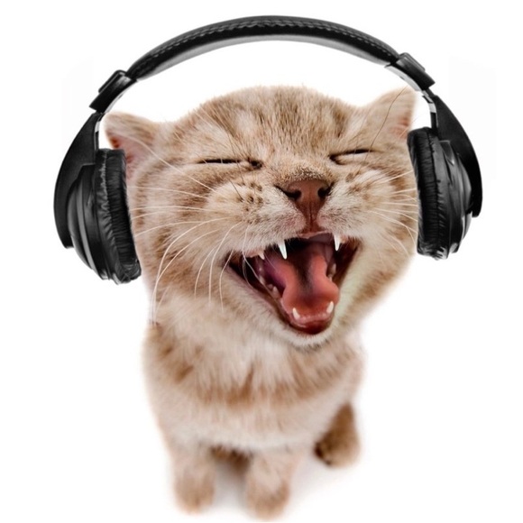 Profile Picture of Bianca Fernandez (@tikitako1010) on Poshmark