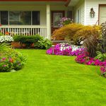 Profile Picture of Darryl Felker (@grownmangrass) on Instagram