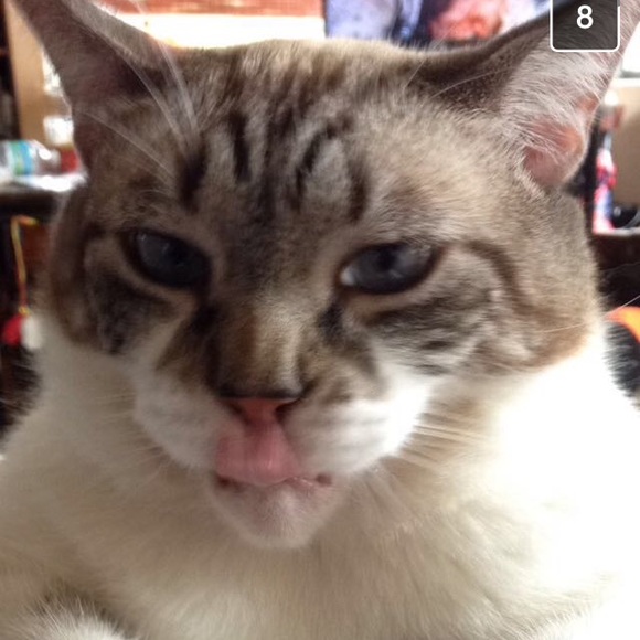 Profile Picture of Laurel Baillargeon (@laurel_d) on Poshmark