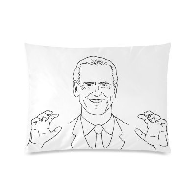 Profile Picture of The Sleepy Joe Pillow  🇺🇸 (@sleepyjoepillow) on Twitter