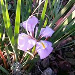 Profile Picture of Julia Haviland (@julia_haviland) on Instagram