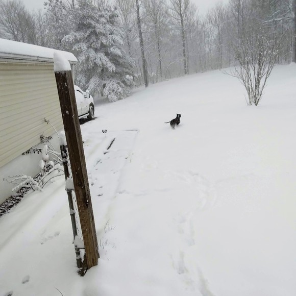 Profile Picture of Christopher Cosgray (@ccosgray1) on Poshmark