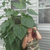 Profile Picture of Crystal Sutton (@crystal-sutton-16) on Quora