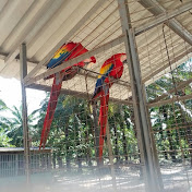 Profile Picture of Nestor Guillen (@NestorGuillen-u2o) on Youtube