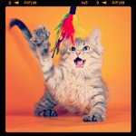 Profile Picture of Joey White (@honeycuttcourten2103) on Instagram