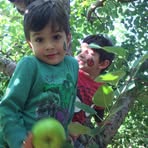 Profile Picture of Michael Tomanelli (@michael.tomanelli) on Facebook