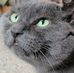 Profile Picture of Steve Marquardt (@steve.marquardt.161) on Facebook