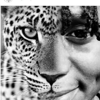 Profile Picture of PETER SAYER (@psayer8) on Twitter