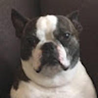 Profile Picture of Henry Metlen (@henry-metlen) on Quora
