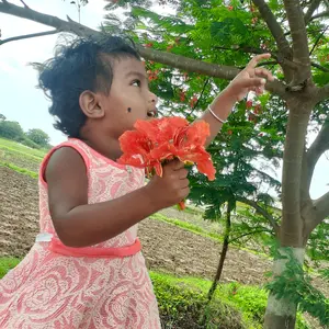 Profile Picture of sathyanarayana manne (@sathyanarayanaman5) on Tiktok