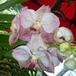 Profile Picture of Guillermina Rojas (@guillerminarojas4402) on Instagram