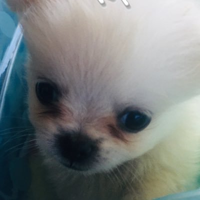 Profile Picture of Blake Heinz (@BlakeHeinz4) on Twitter