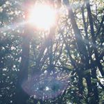 Profile Picture of Paul Oddo (@i_love__photography_lol) on Instagram